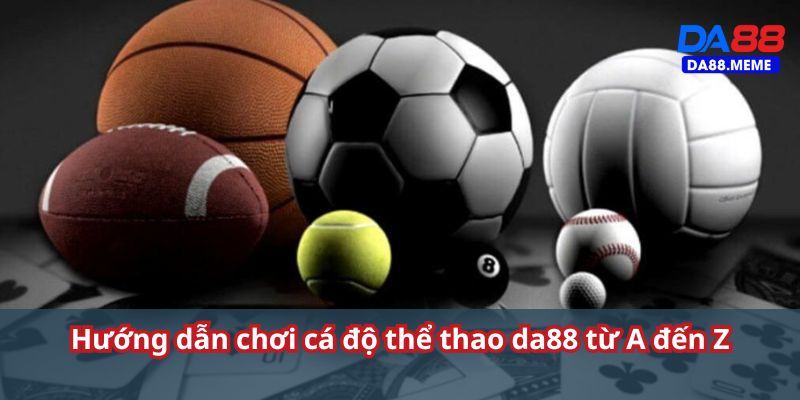 Từng bước cá độ thể thao tại DA88 Từng bước cá độ thể thao tại DA88