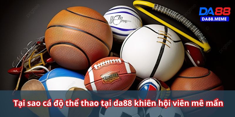 Lợi ích nhận được khi trải nghiệm cá cược thể thao tại DA88 Lợi ích nhận được khi trải nghiệm cá cược thể thao tại DA88