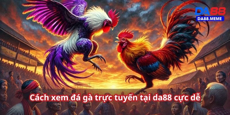 Hướng dẫn xem đá gà chi tiết cho quý khách hàng Hướng dẫn xem đá gà chi tiết cho quý khách hàng