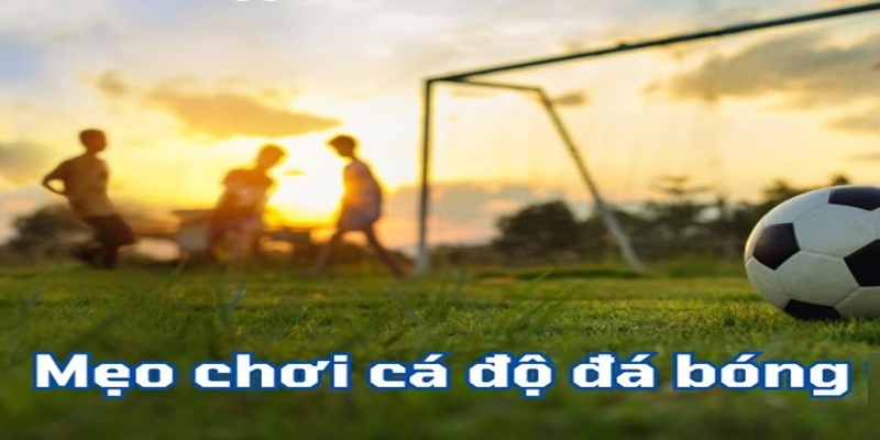 Chia sẻ mẹo cá độ luôn thắng trong mọi kèo cá độ bóng đá. Chia sẻ mẹo cá độ luôn thắng trong mọi kèo cá độ bóng đá.